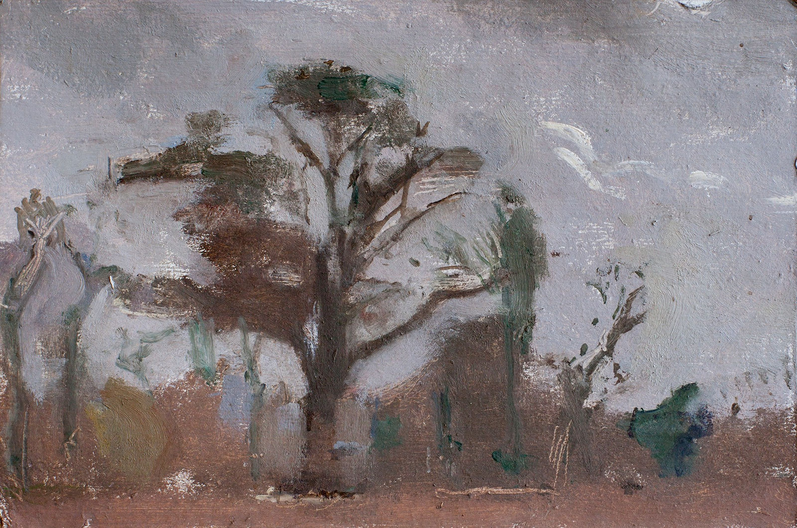 PATRICK GEORGE, Oak Tree, Winter