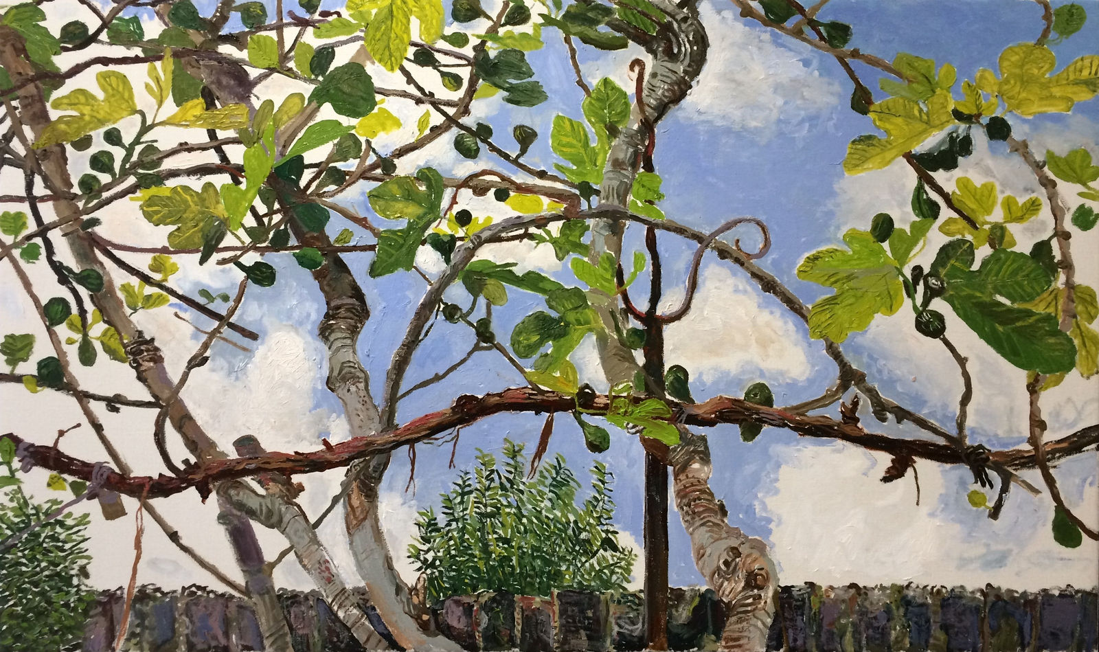 SUSAN WILSON, Fig and Sky, Notting Hill, 2016-17