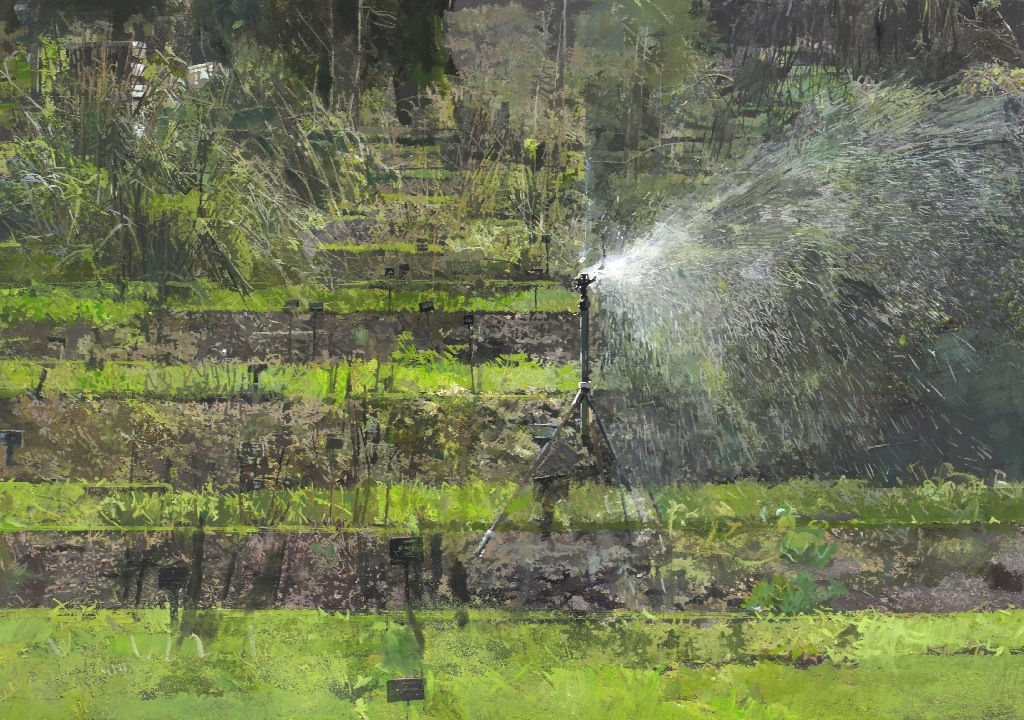 EILEEN HOGAN, Chelsea Physic Garden 1, 8 September 2016, 2016