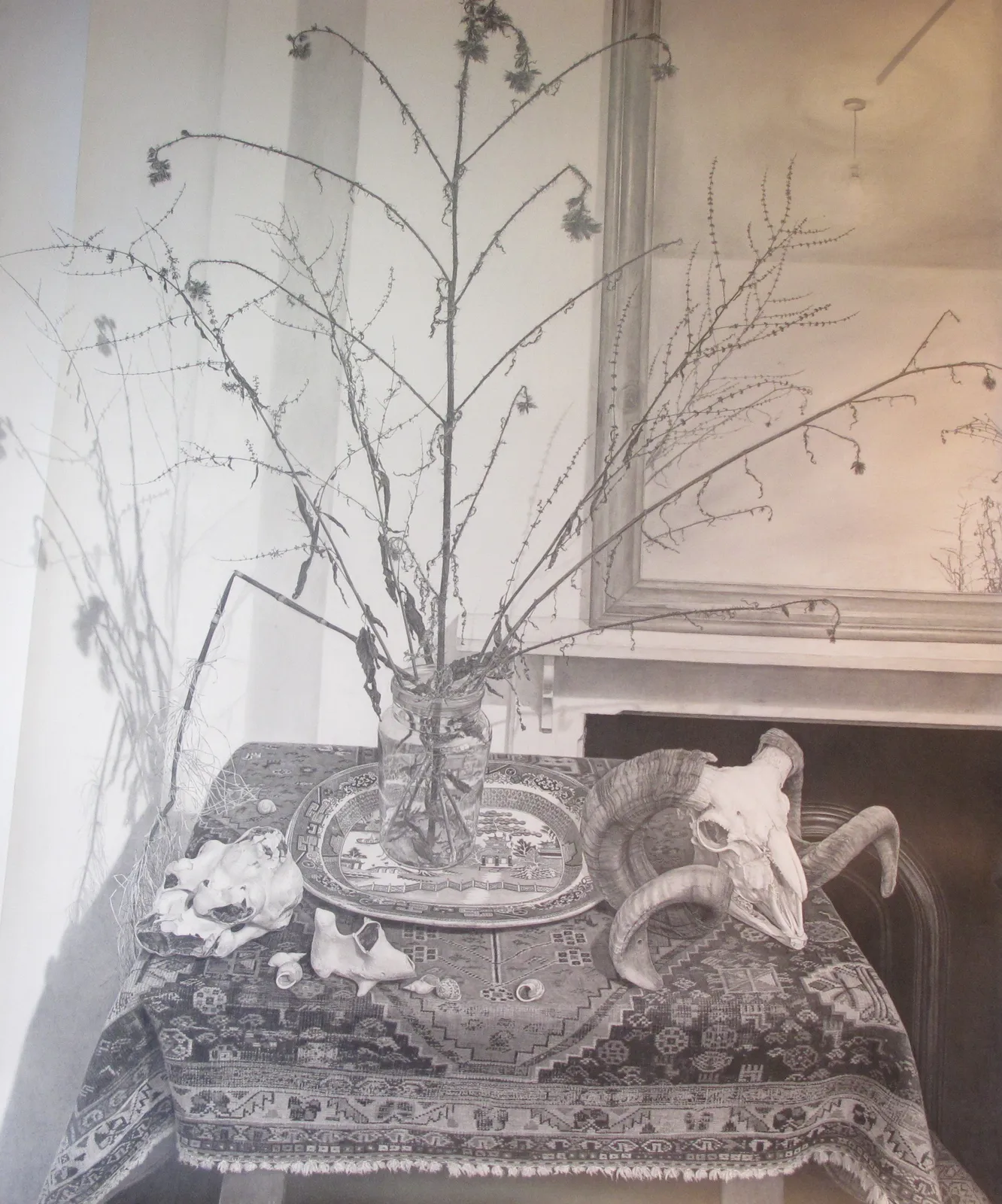 EDMUND CHAMBERLAIN, Still Life with Skull and Plants