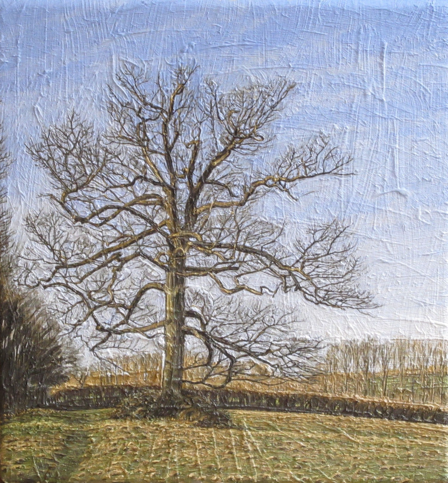 EDMUND CHAMBERLAIN, Oak, winter sky