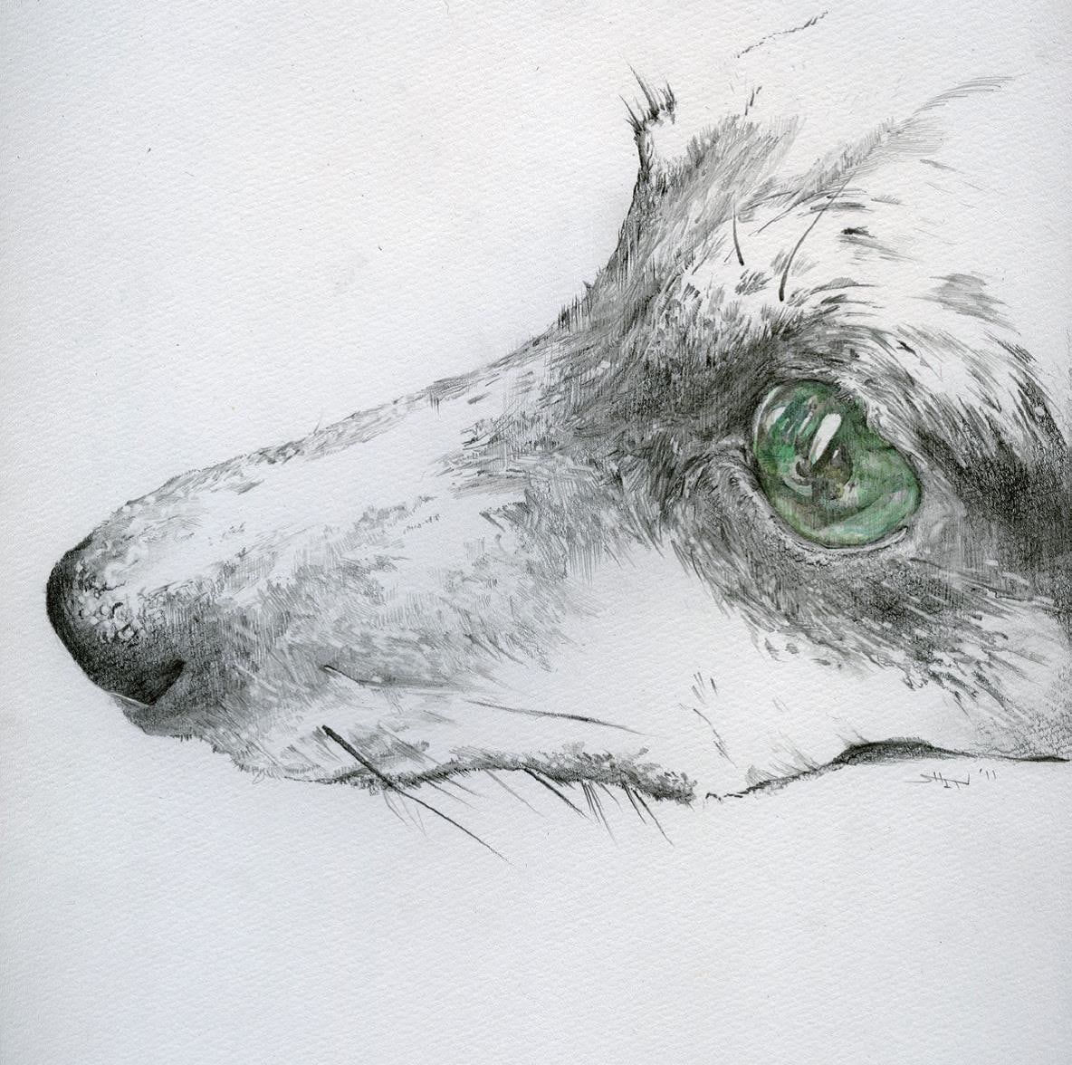 SHINNOSUKE INOUE, Symphony, 2011