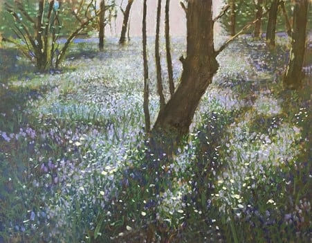 ED GILBERT, Woods in May, 2020