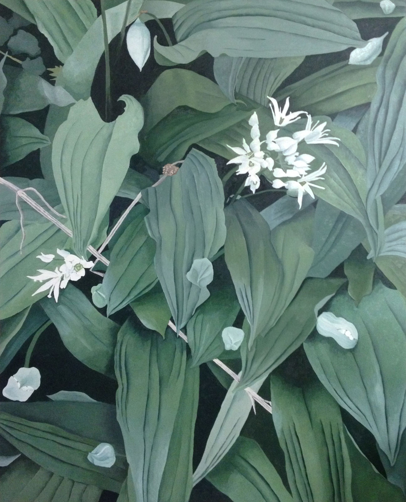 ENDELLION LYCETT GREEN, Renewal