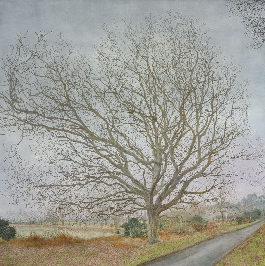 WLADYSLAW MIRECKI, Oak in Winter, 2016