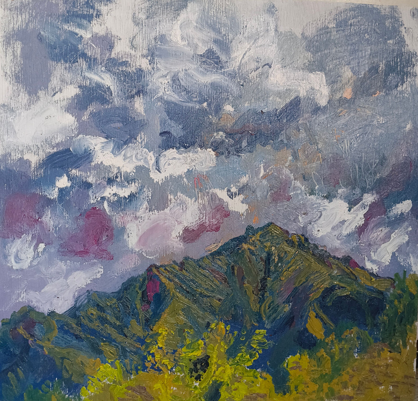 SUSAN WILSON, Rain at Four Peaks, 2024