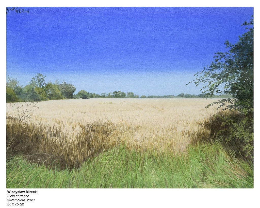 WLADYSLAW MIRECKI, Field Entrance, 2020