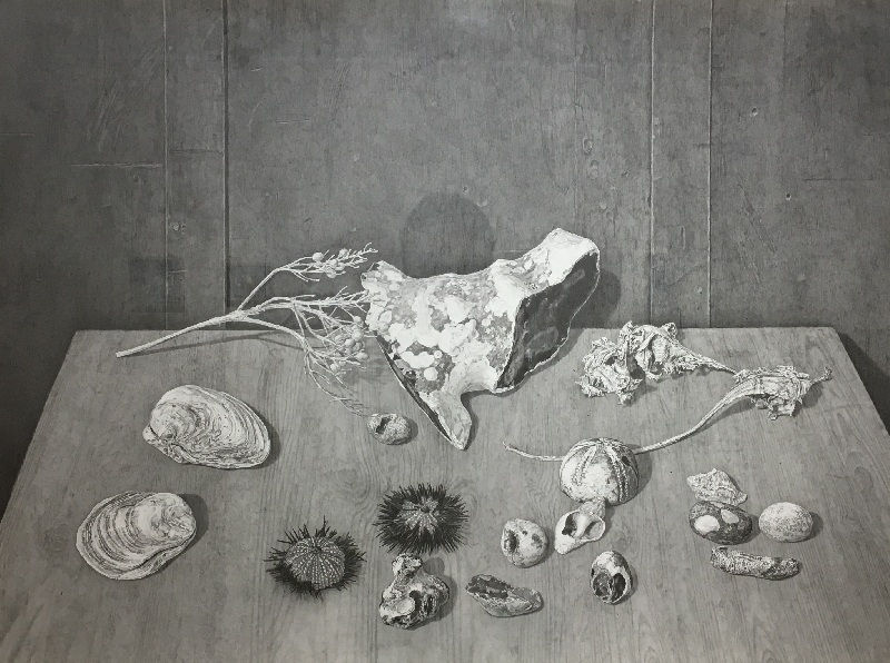 EDMUND CHAMBERLAIN, Coast