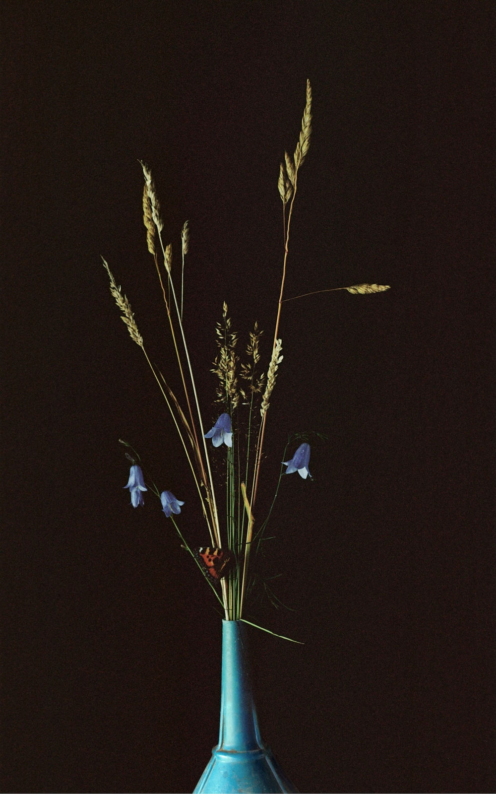 Harriet Challis, Still Life with Petrol Funnel (2023)