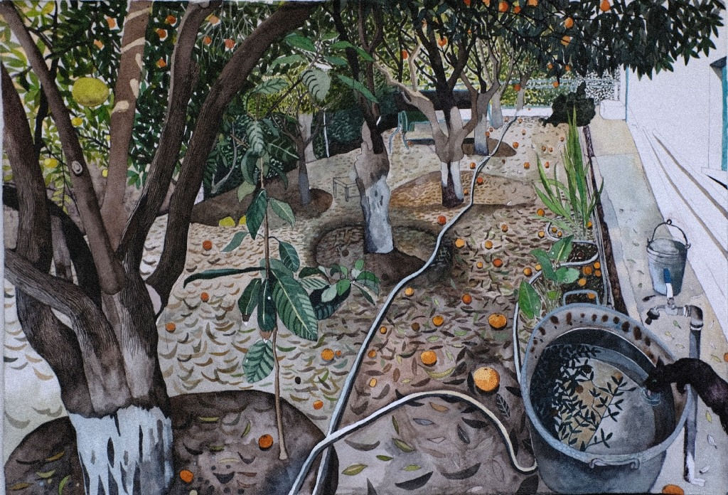 SOPHIE CHARALAMBOUS, December Windfalls in Memo's Garden, 2020