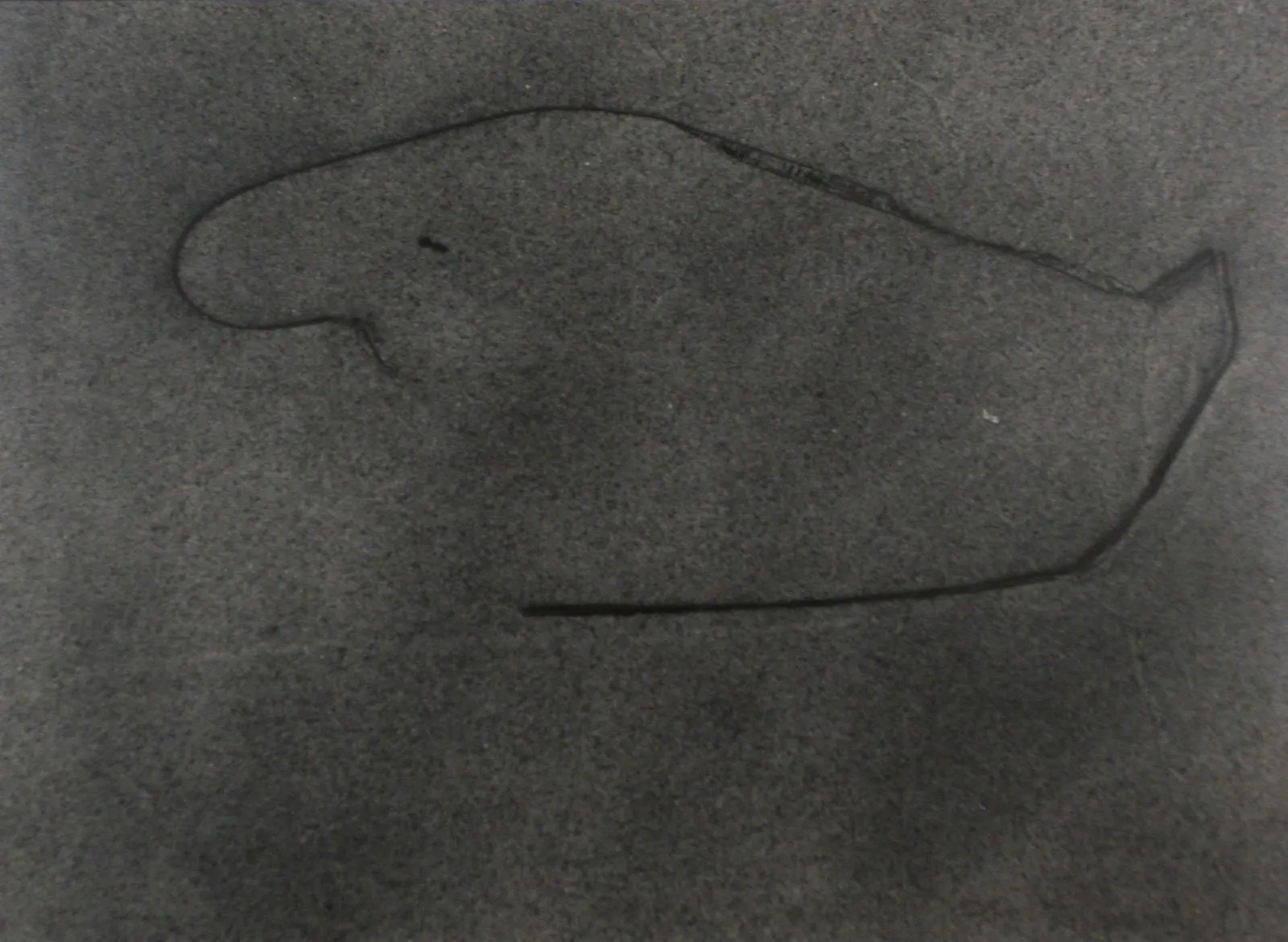 Aaron Siskind, Seaweed 14, c. 1940s