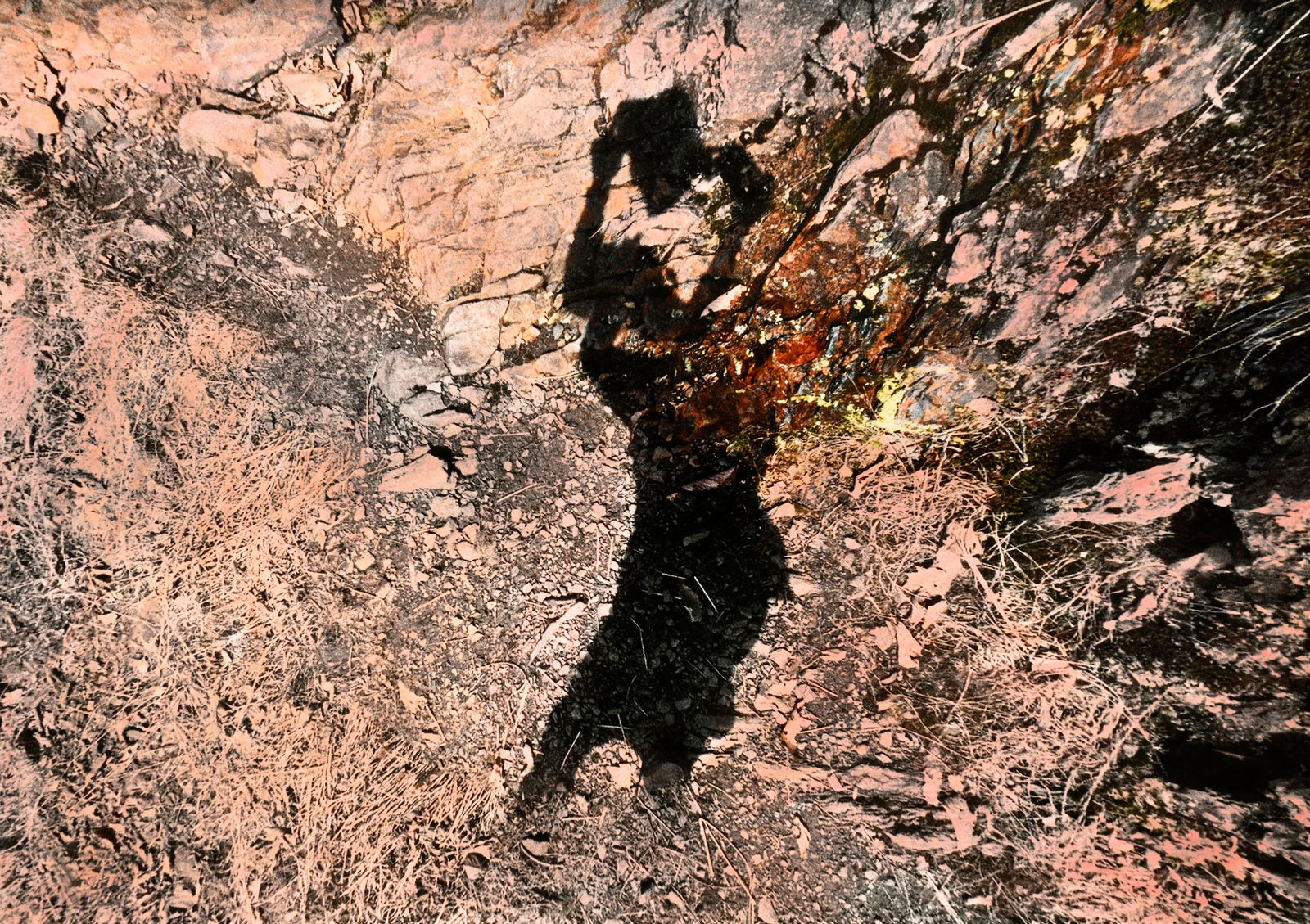 Brea Souders, Untitled #19 (from Vistas), 2019