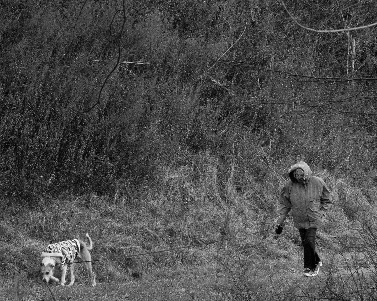 Brea Souders, End of the Road #32, 2020