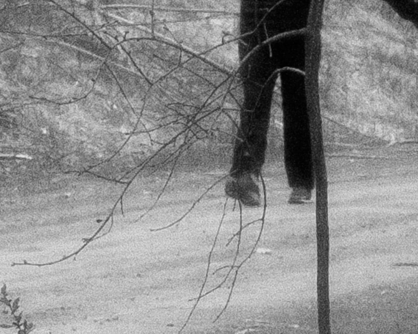 Brea Souders, End of the Road #10, 2020