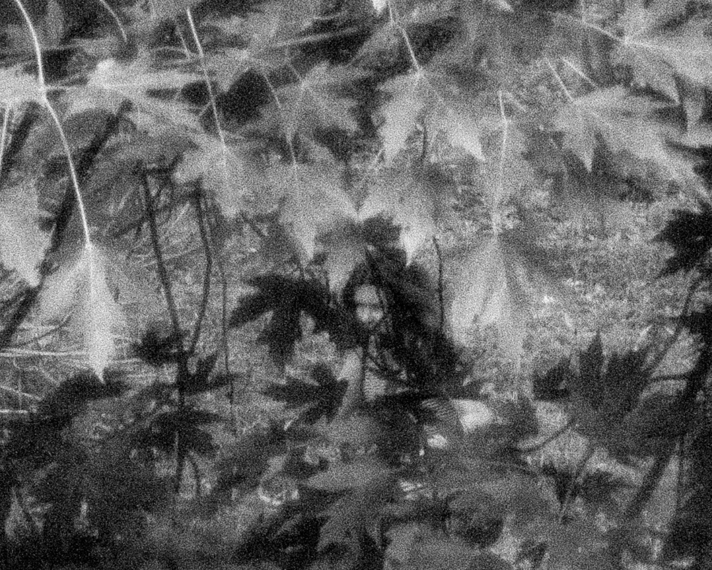 Brea Souders, End of the Road #28, 2020