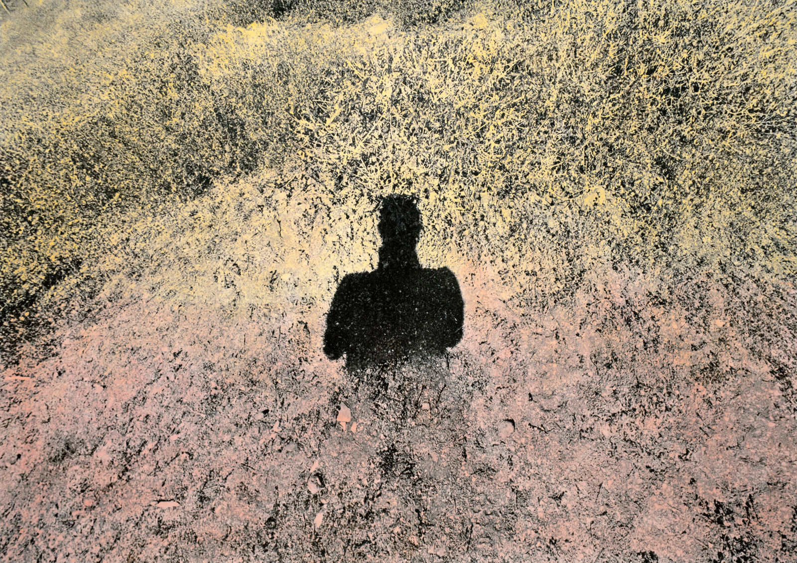 Brea Souders, Untitled #36 (from Vistas), 2019