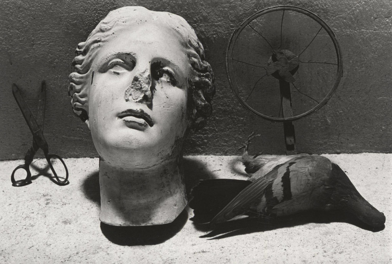 Joel-Peter Witkin, Still Life (In An Airshaft), 1967
