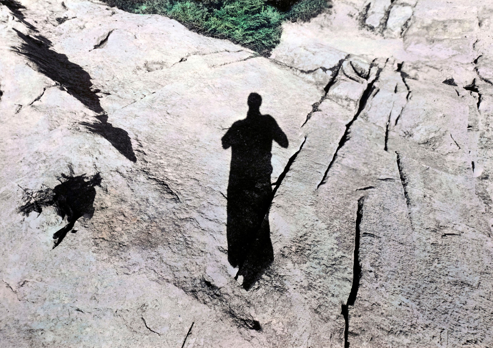 Brea Souders, Untitled #29 (from Vistas), 2019