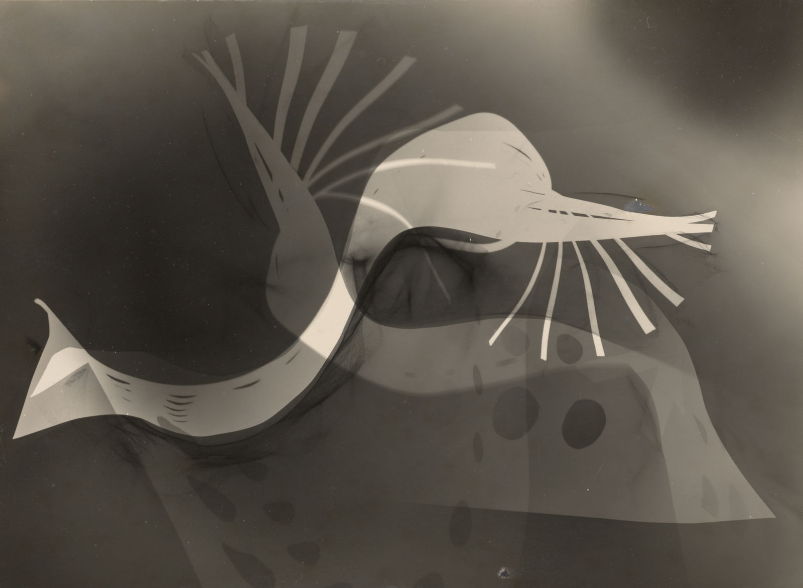 Laszlo & George Barford Moholy-Nagy, Untitled, 1939