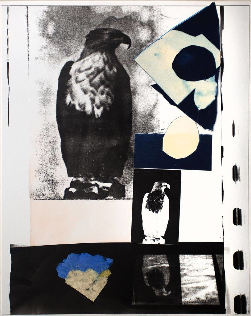 John Wood, Eagle Postcard, 1987