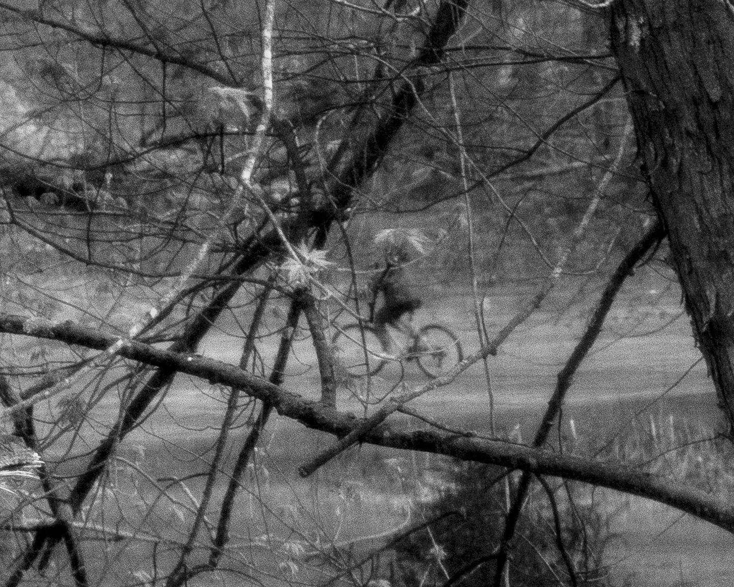 Brea Souders, End of the Road #27, 2020