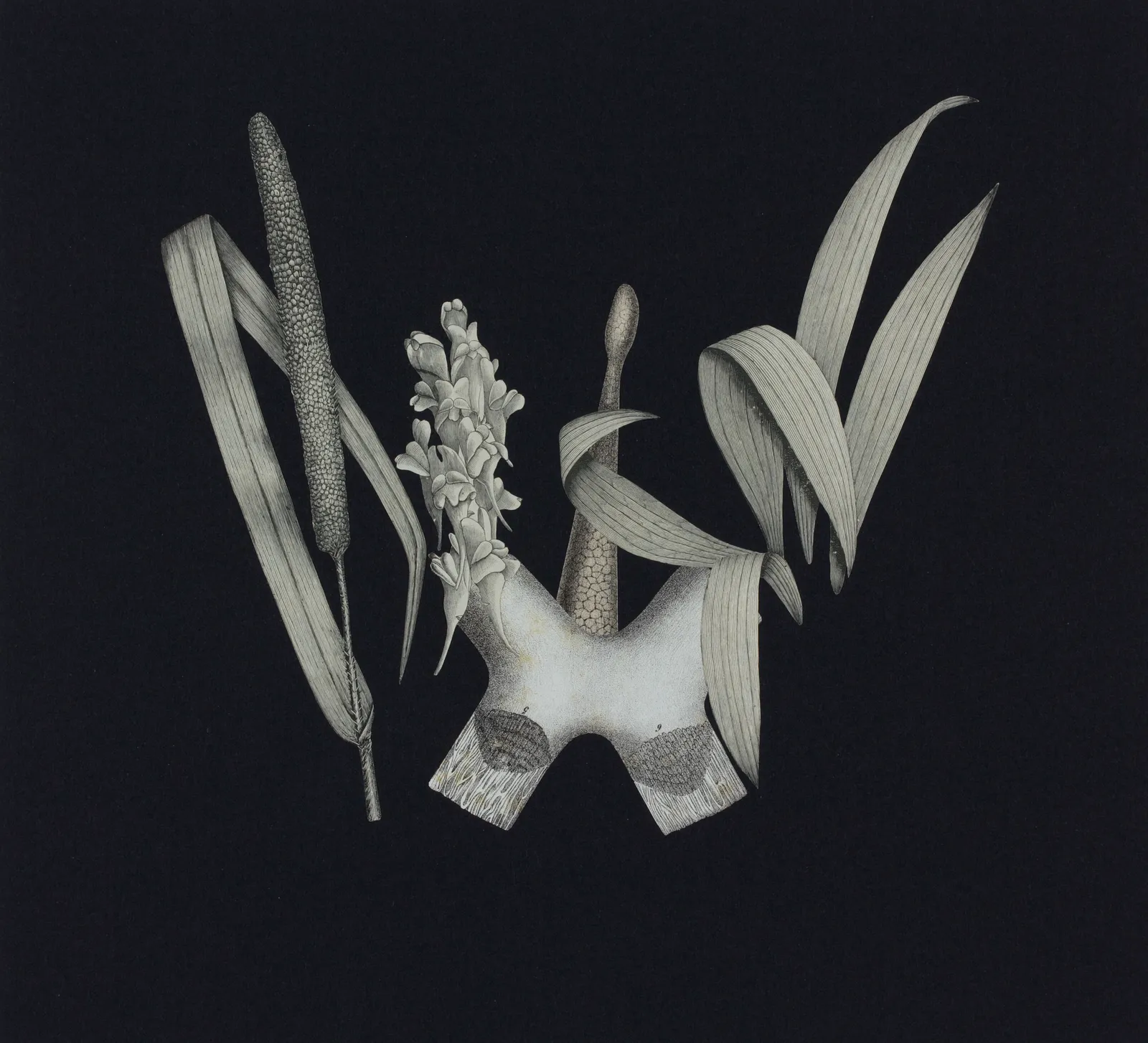 Frederick Sommer, Untitled, 1996