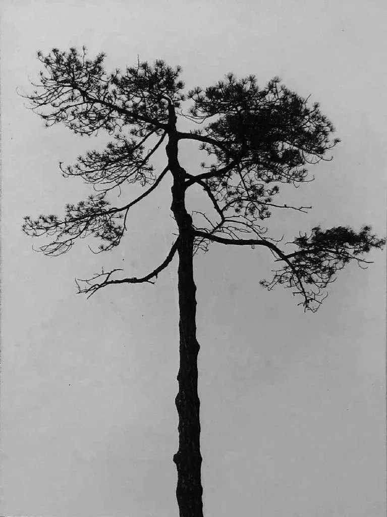 Louis Draper, Untitled, c. 1960s