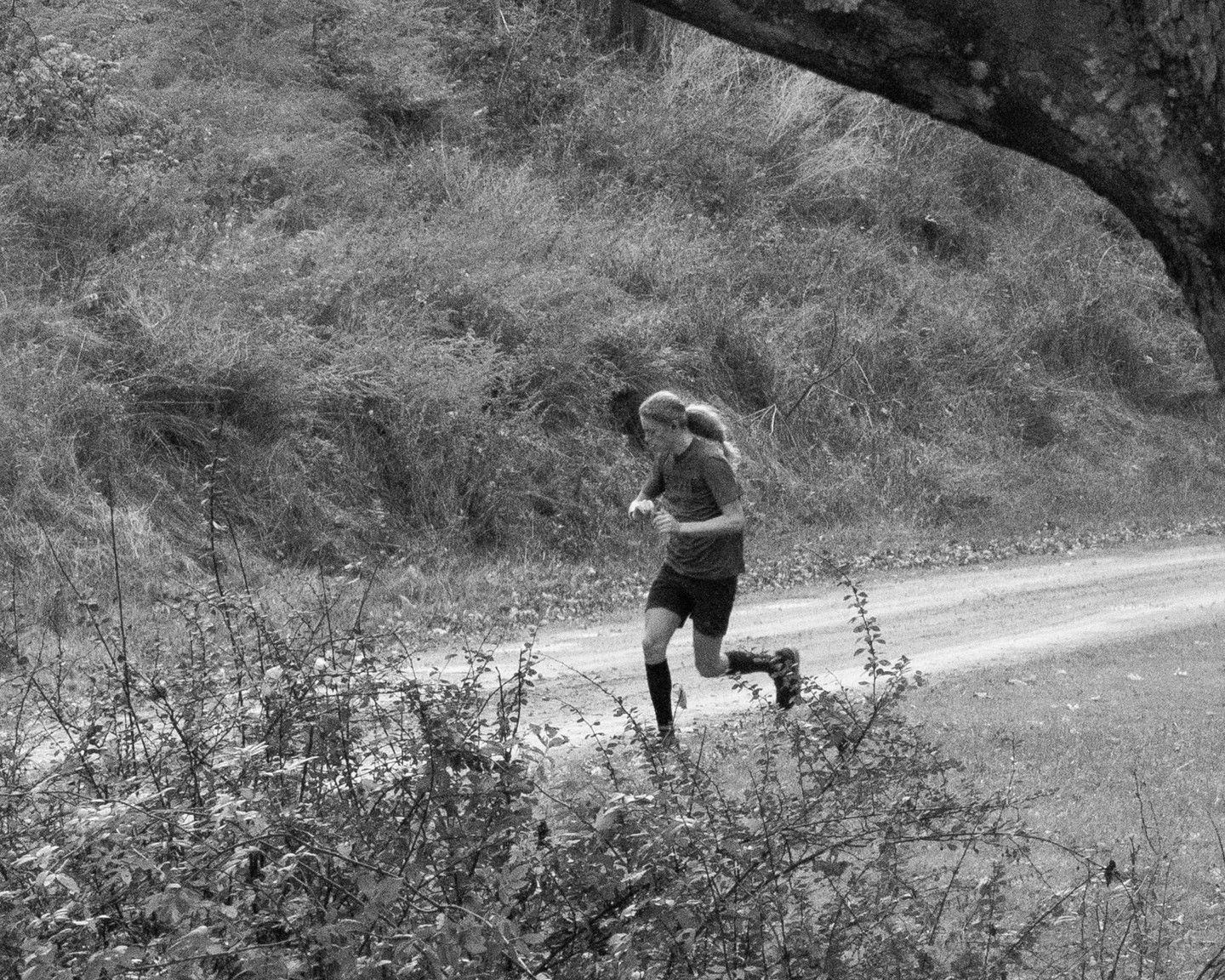 Brea Souders, End of the Road #17, 2020