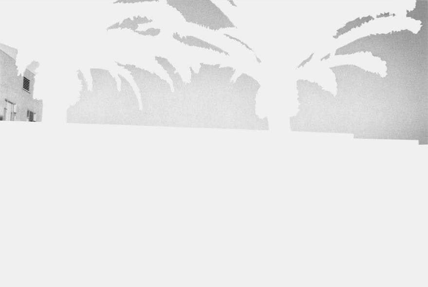 Mishka Henner, Long Beach (from Less Américans), 2012