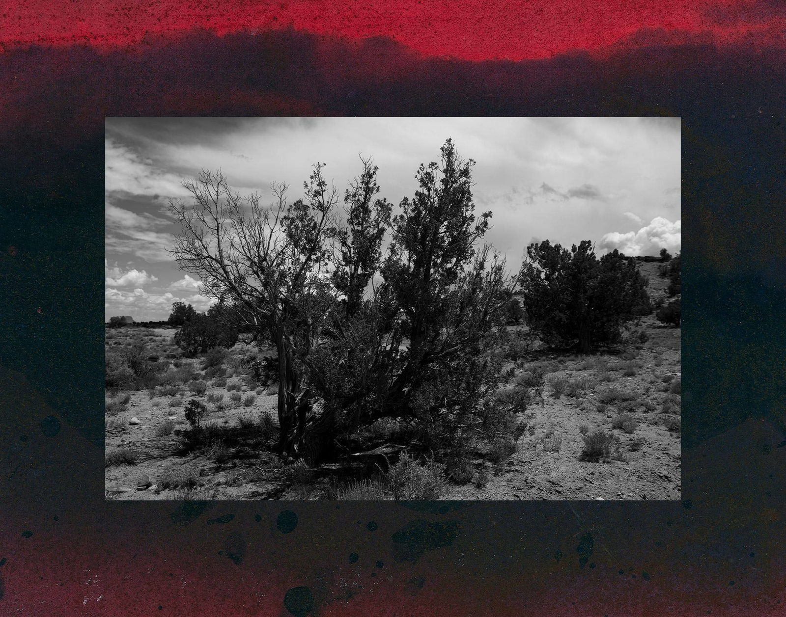 Dakota Mace, Ruth Lewis-Diné Elder Dahodiyinii (Sacred Places), 2021