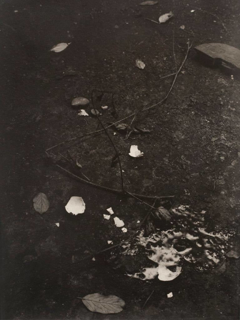 Josef Sudek, Untitled (Still life with Branches and Broken Egg), 1950-54