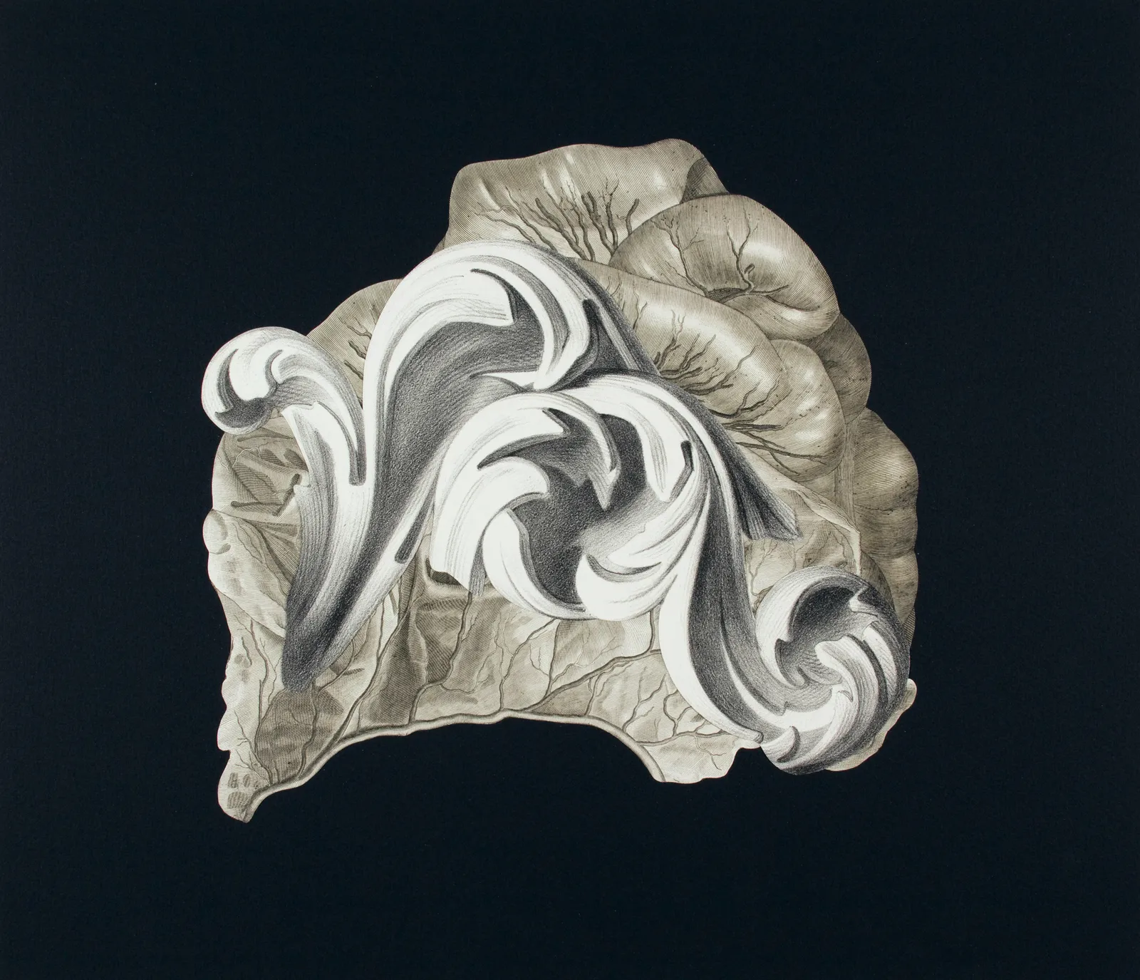 Frederick Sommer, Untitled, 1995