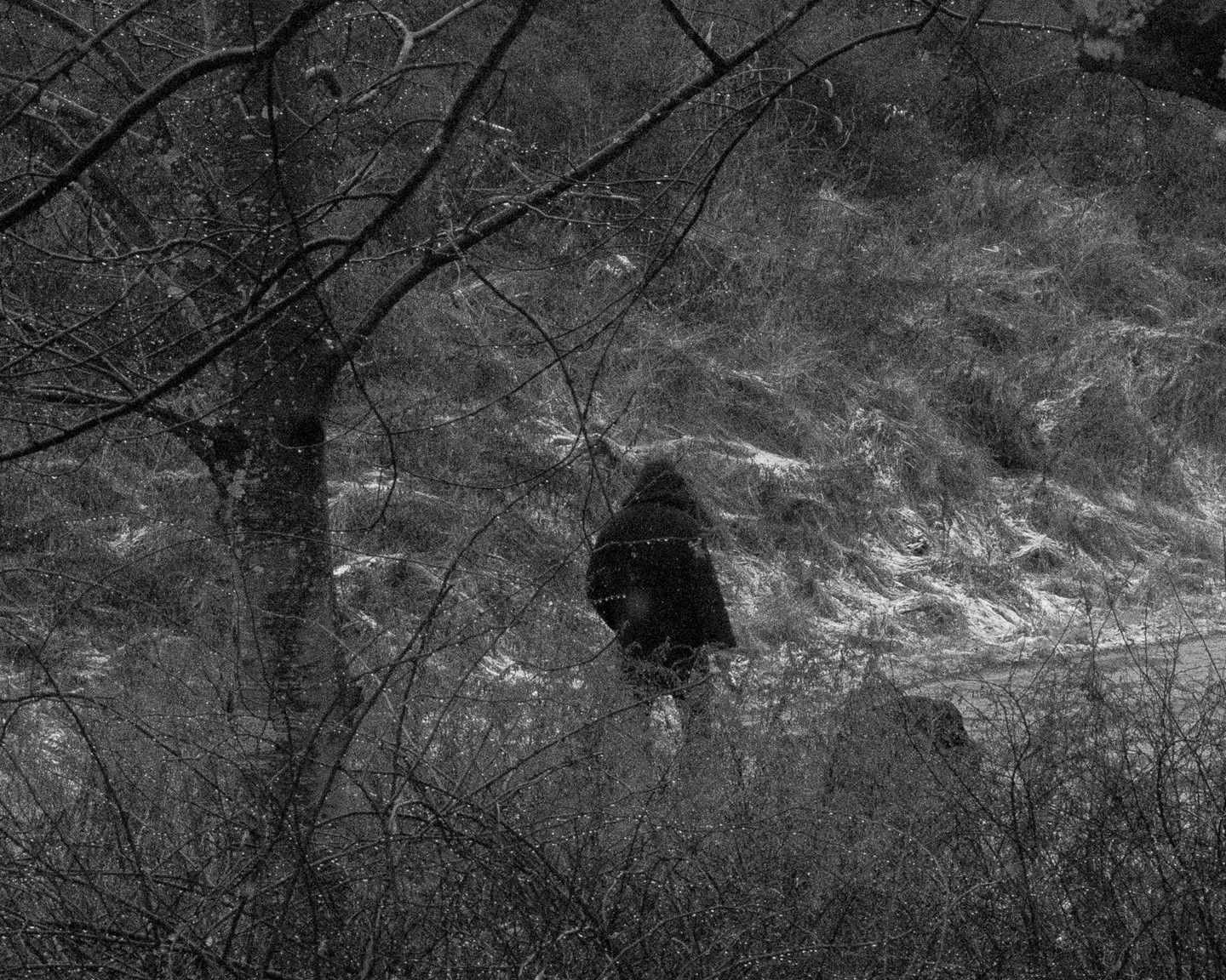 Brea Souders, End of the Road #70, 2020