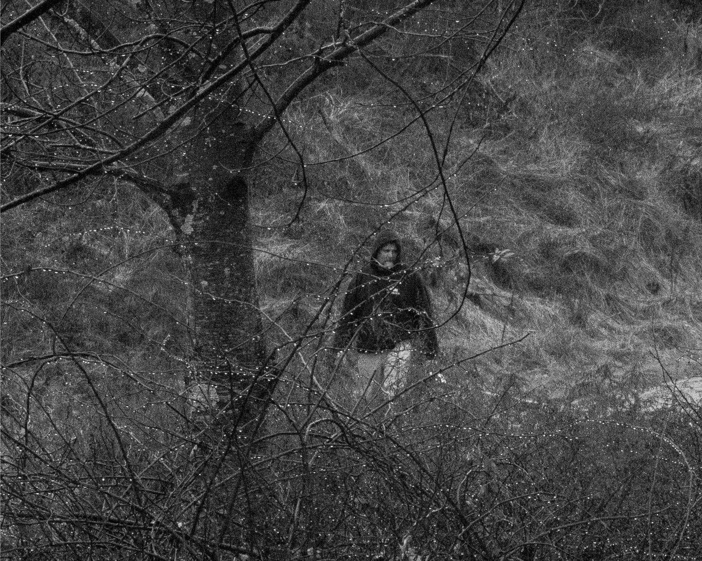 Brea Souders, End of the Road #35, 2020