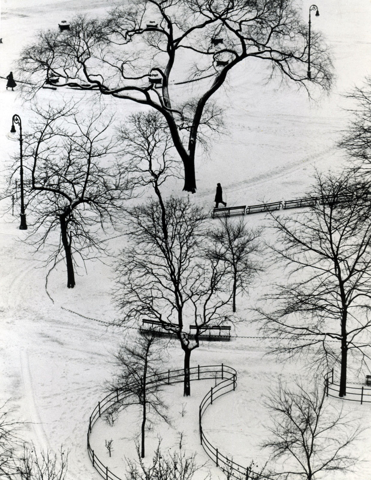 André Kertész, Washington Square Day, 1954