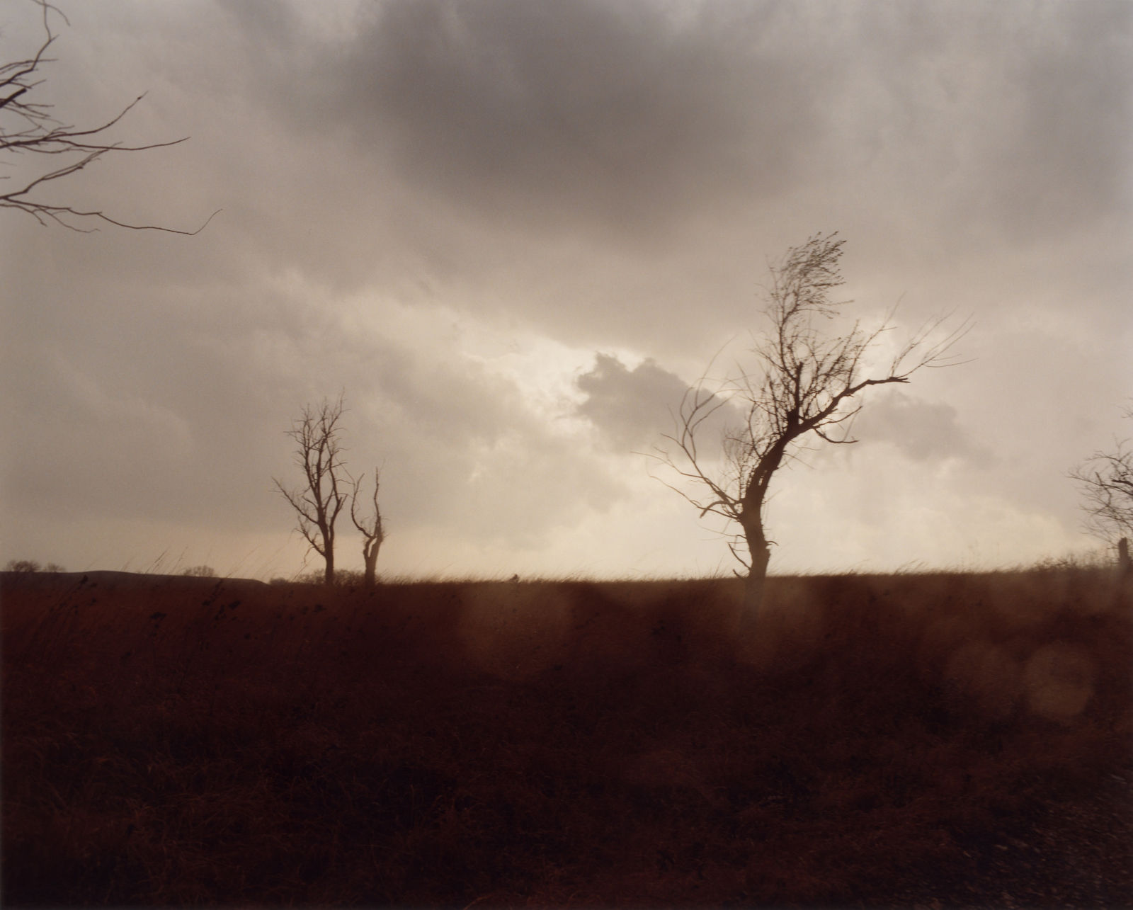 Todd Hido, #5462, 2006