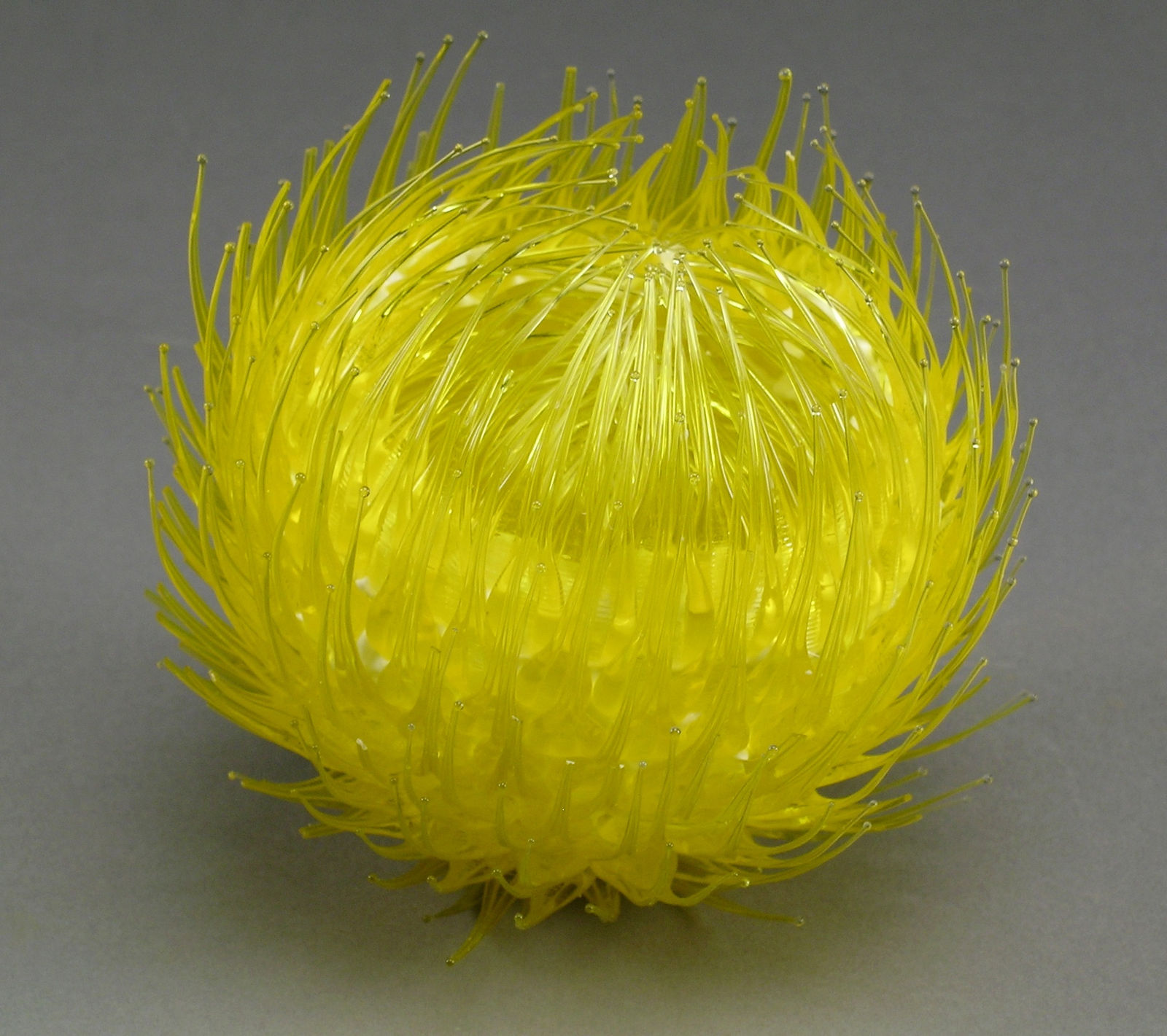 Tactual Stimulation Yellow