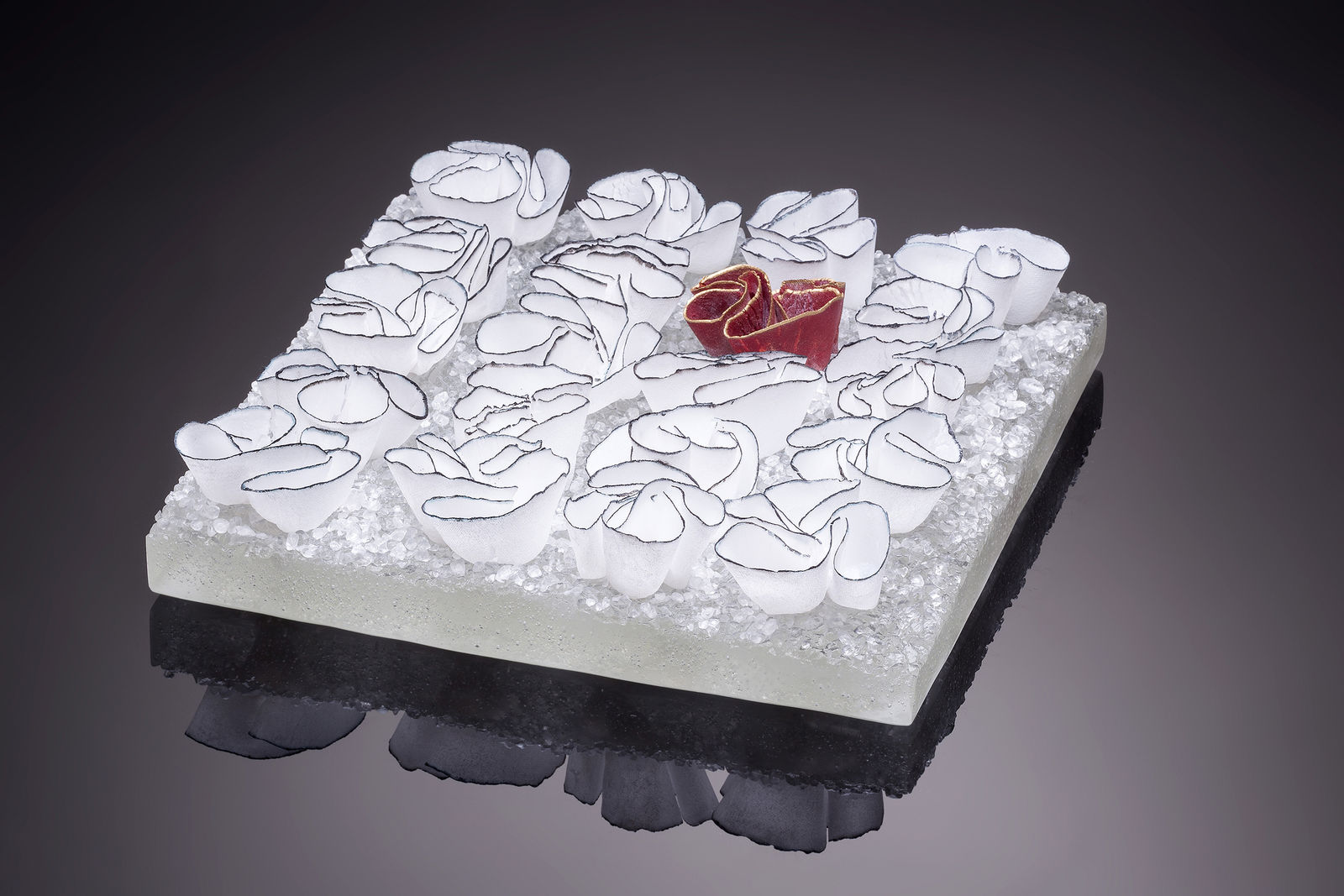 Where The Heart Is, בעקבות הלב