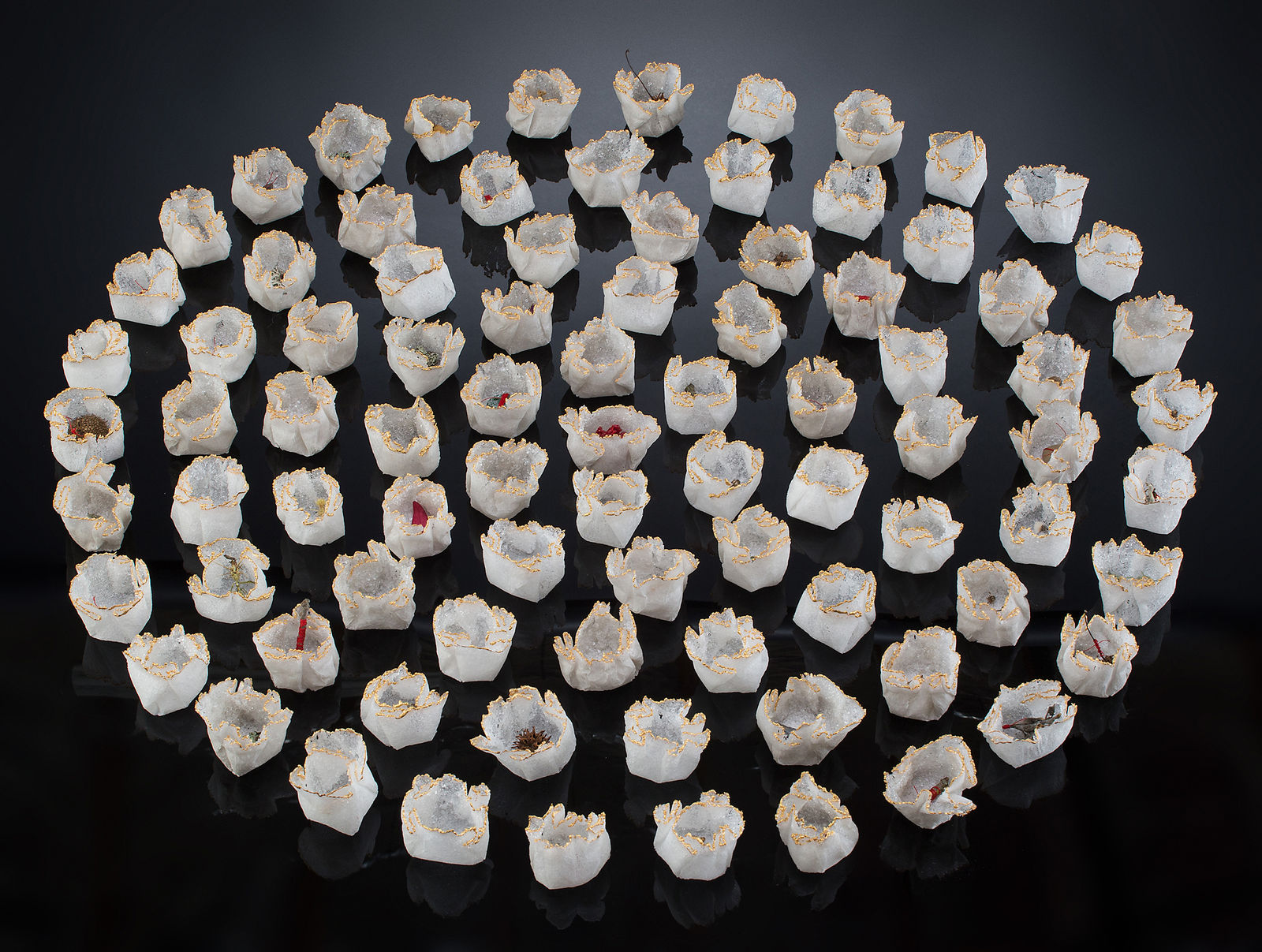 Seeds of Hope, זרעים של תקוה