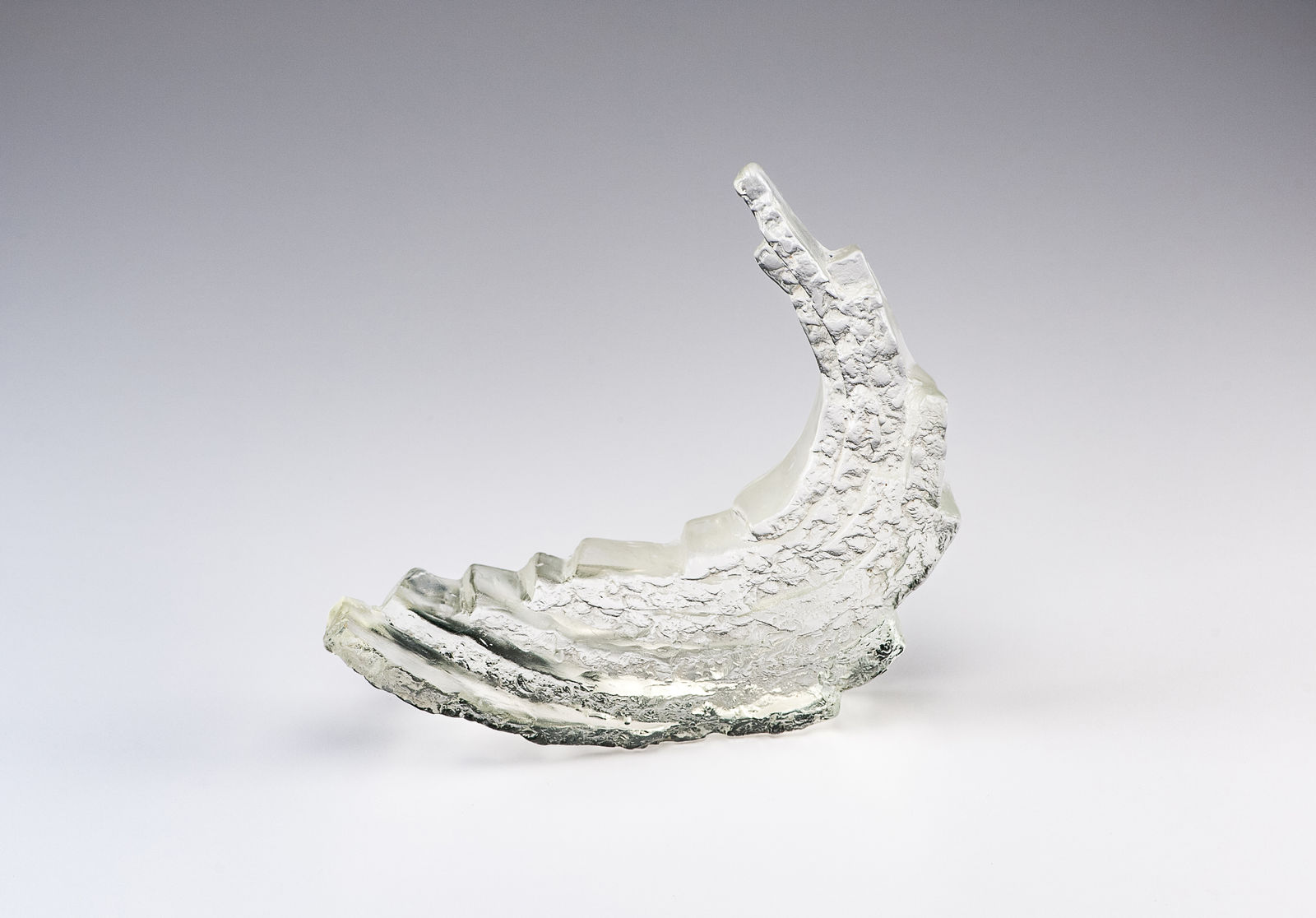 Amy Hoagland, Layered Imprint, 2017