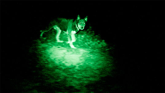 Doug Aitken, Black Mirror, 2011