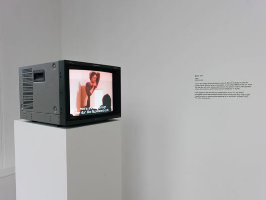 Fiona Banner, Mirror, 2007