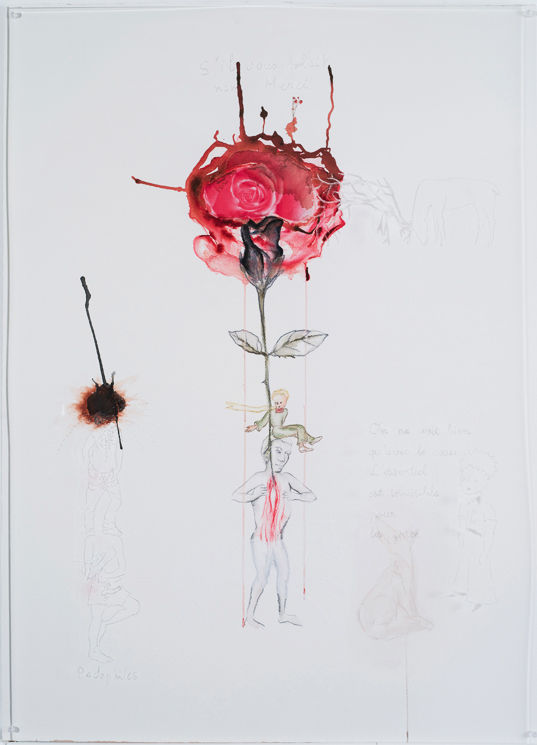 Mithu Sen, Little prince (and the pedophile), 2012