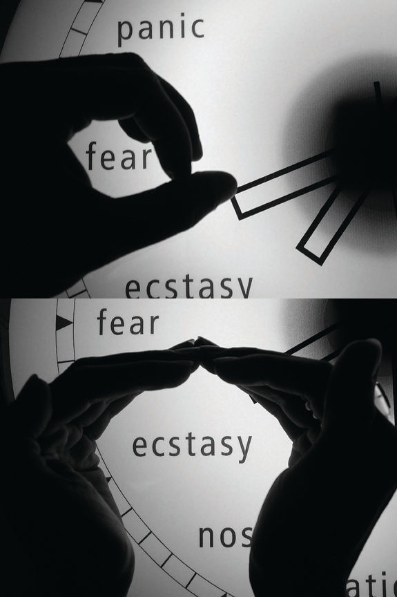 Raqs Media Collective, On The Other Hand, 2009