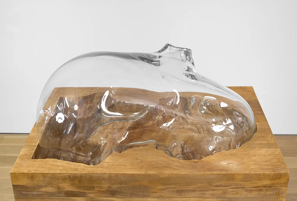 Titus Kaphar, Cast in Doubt, 2016