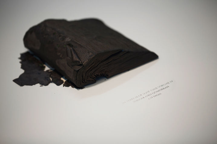 Annie Lai Kuen Wan, Time Regained, 2013