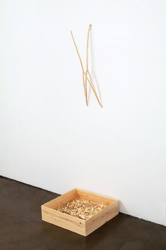 Robert Kinmont, Hidden Meaning, 2006