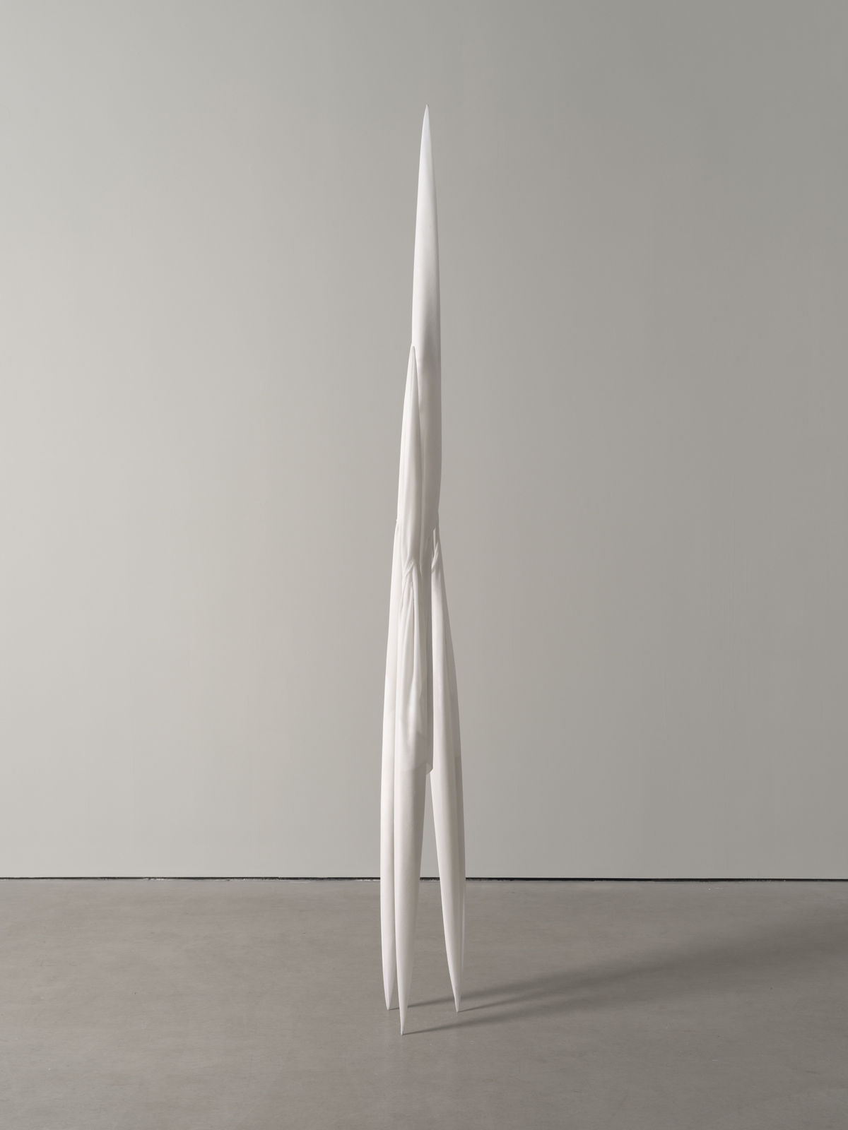 Eli Ping, Monocarp, 2024