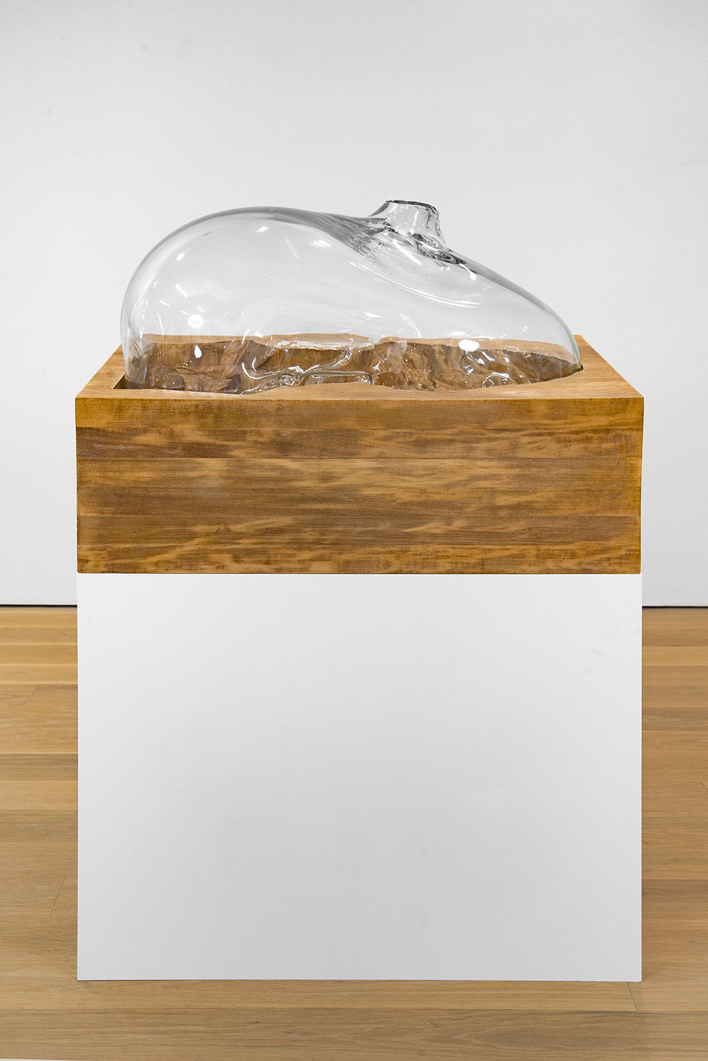 Titus Kaphar, Cast in Doubt, 2016