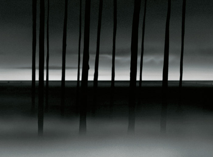 Hans Op de Beeck, Places (Gardening 2), 2004